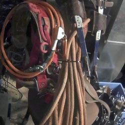 Lineman Saddle And Tree Climber Spikes