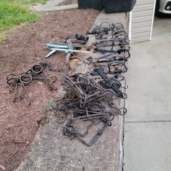 Traps And Body Grip Traps