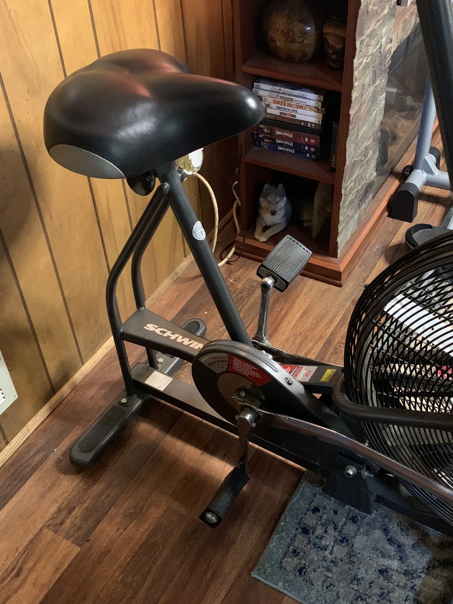 Schwinn Airdyne Air 