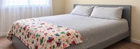 Gray Platform Bed Frame with mattress (Queen)