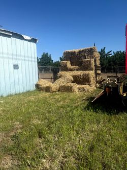 Oat hay