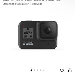 Go Pro With Vest Strap