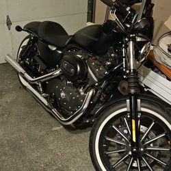 2010 Harley Davidson Iron 883