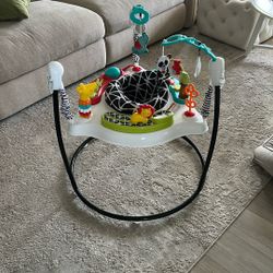 Fisher And Price Baby Jumparoo Baby Bouncer Jungle Edition