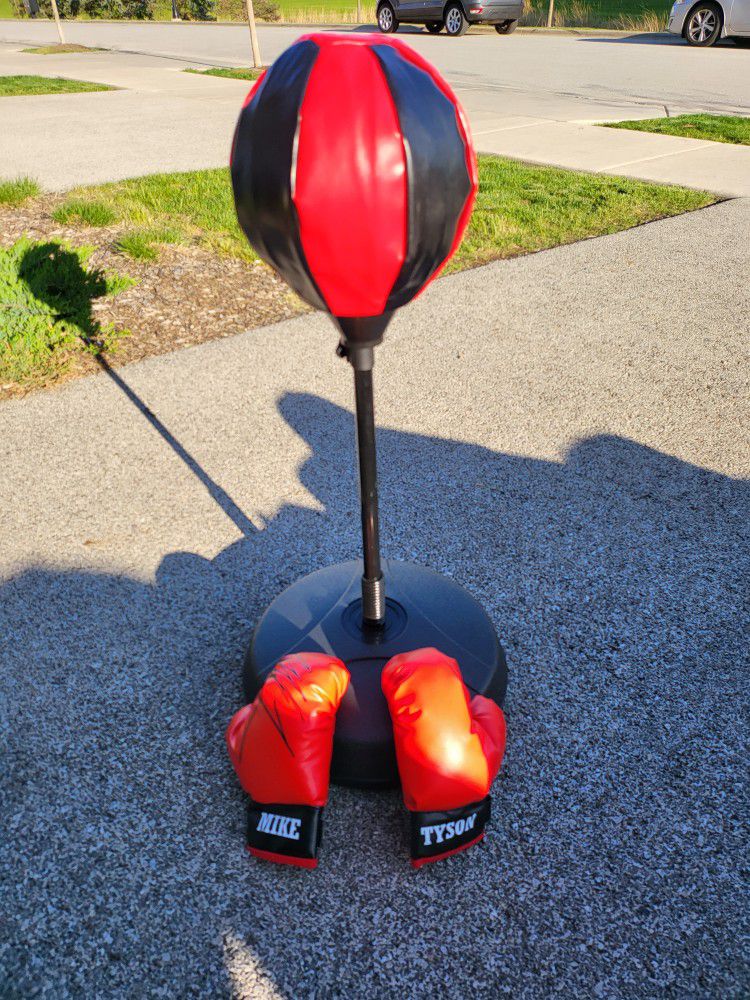Kids Punching Bag With Boxing Gloves