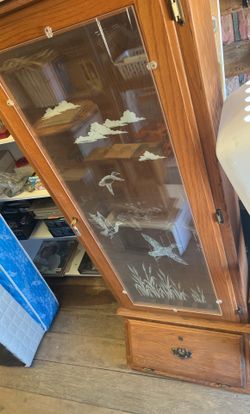 Gun Cabinet 