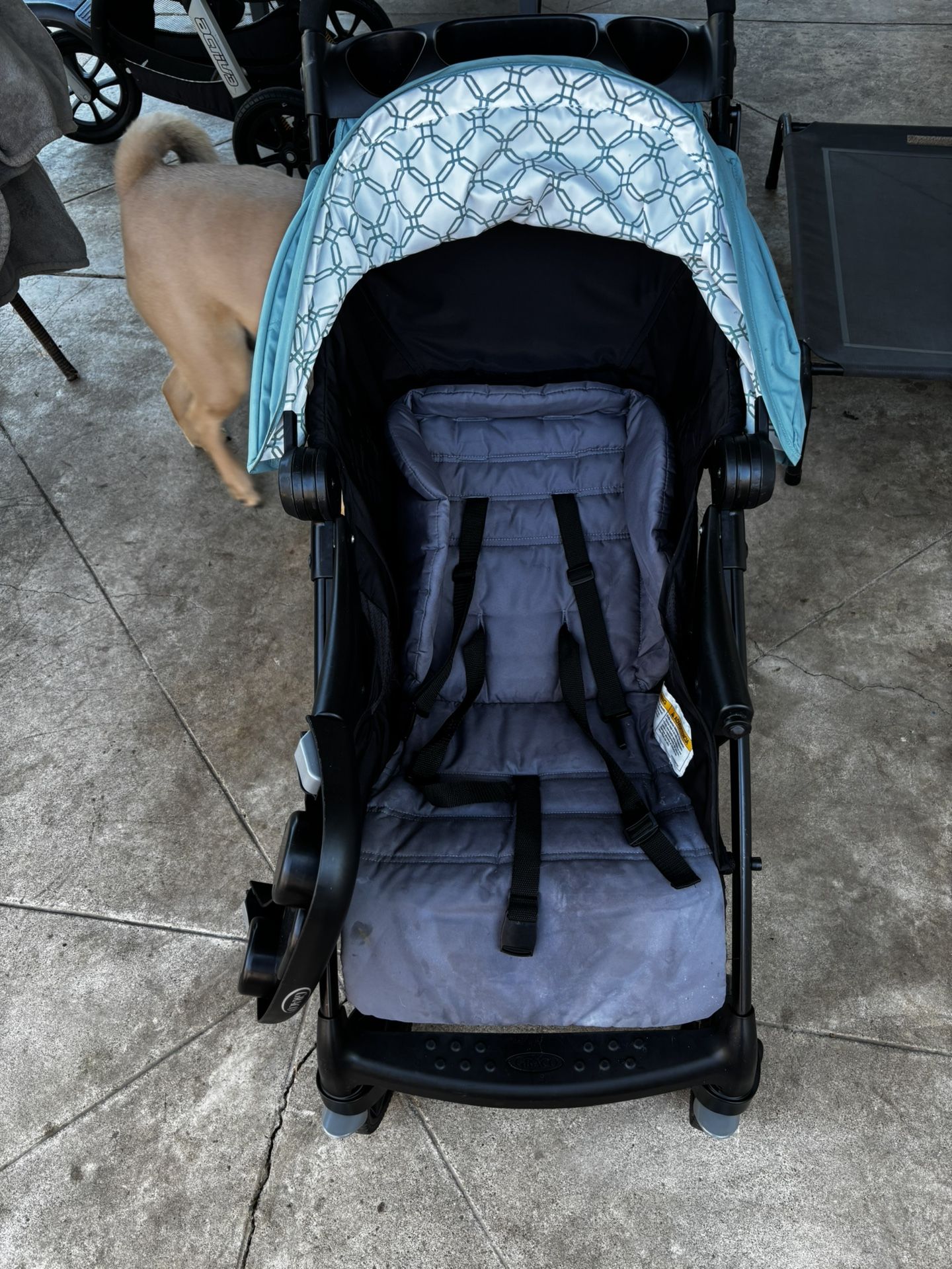 Graco Verb Stroller-need Gone Asap