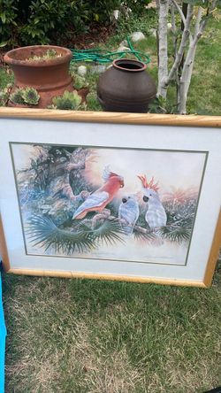 Framed picture.