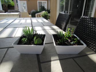Pair Of White Square Garden Pots With Succulents