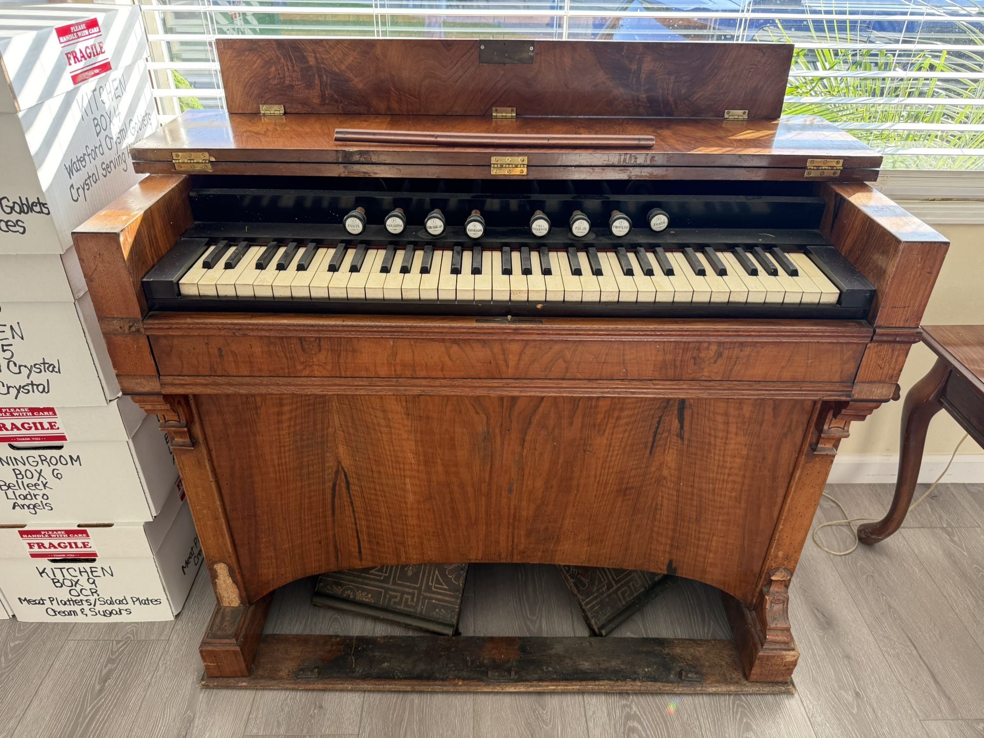 Antique 19th-Century Pump Organ – Ph. Trayser & Co., Stuttgart