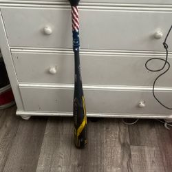 Easton Baseball Bat
