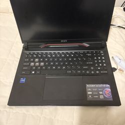 Gaming Laptop RAIDER GE68 HX 13v