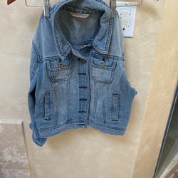 Jean Jacket Cropped - L