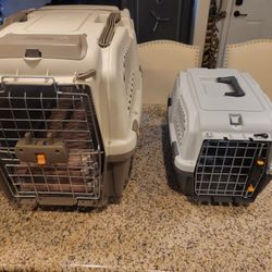 Dog Kennel