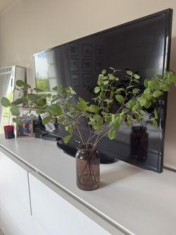 Faux Plant