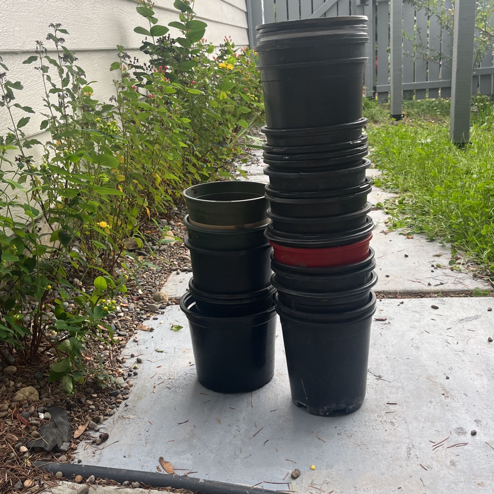 Free Plant Pots