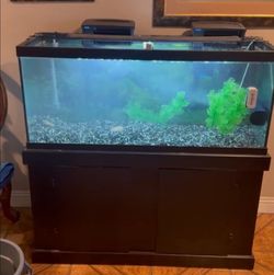 50 gallon fish tank on black cabinet with accessories