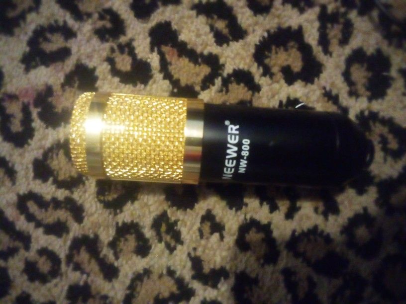 Mic