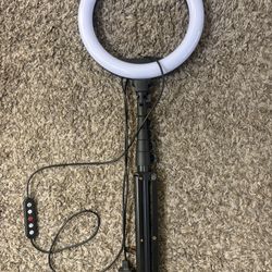 10 Inch Ring Light