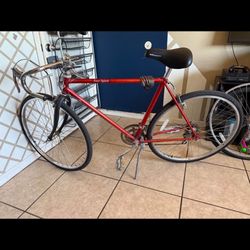Free Spirit Bike 