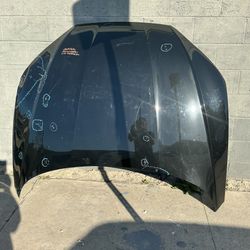 2018 - 2022 AUDI A5 - HOOD PANEL OEM 