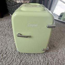 Cosmetic Little Fridge