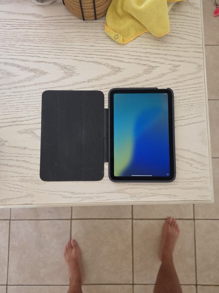 iPad Mini 6th Generation (Cellular Capable)