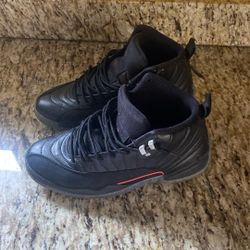 Jordan 12 