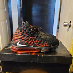Lebron 17 Bred Size 9  $100