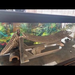 Bearded Dragon Bundle 