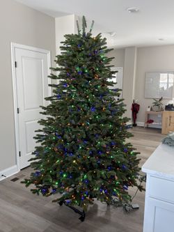 Balsam Hill Artificial Christmas Tree