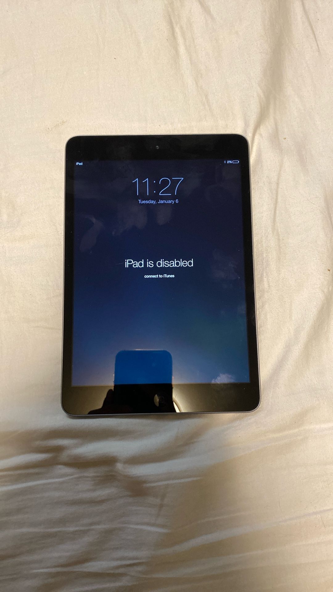 Apple Ipad Mini 