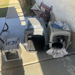 Dog Cages 