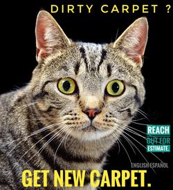 REPLACE WITH NEW CARPET.