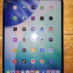 iPad Pro 13inch 256 Gb 