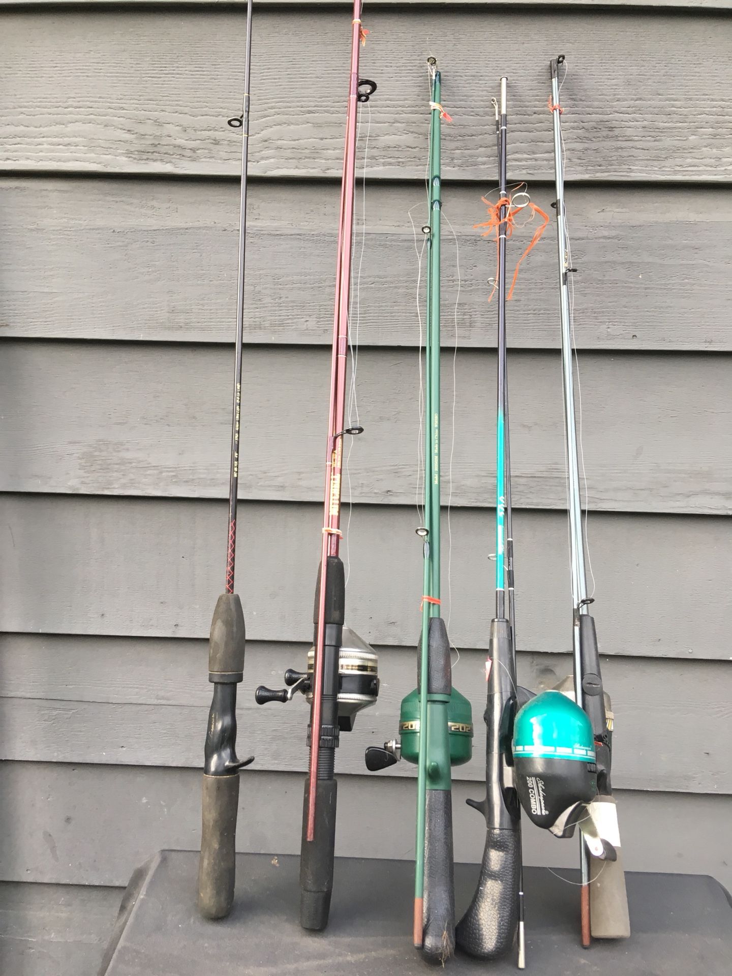 Fishing pole and reel