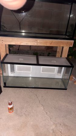 Reptile tank