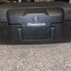 Sentry Safe Lock Box 