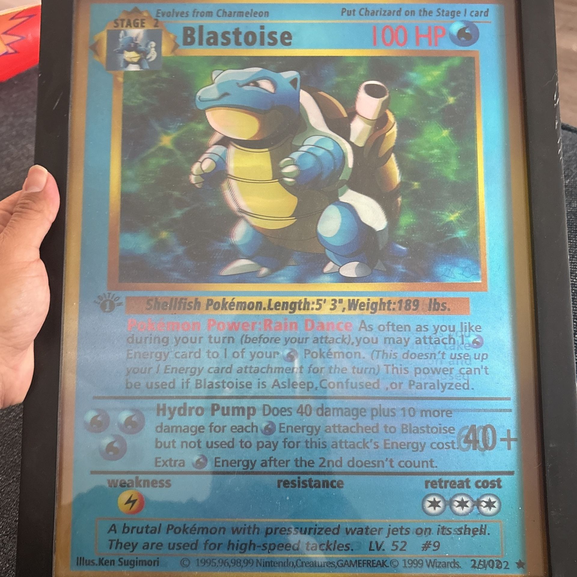 Pokemon Starters Holo Frame