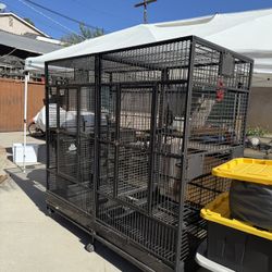 Bird Cage 