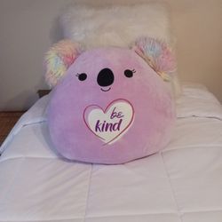 Toy