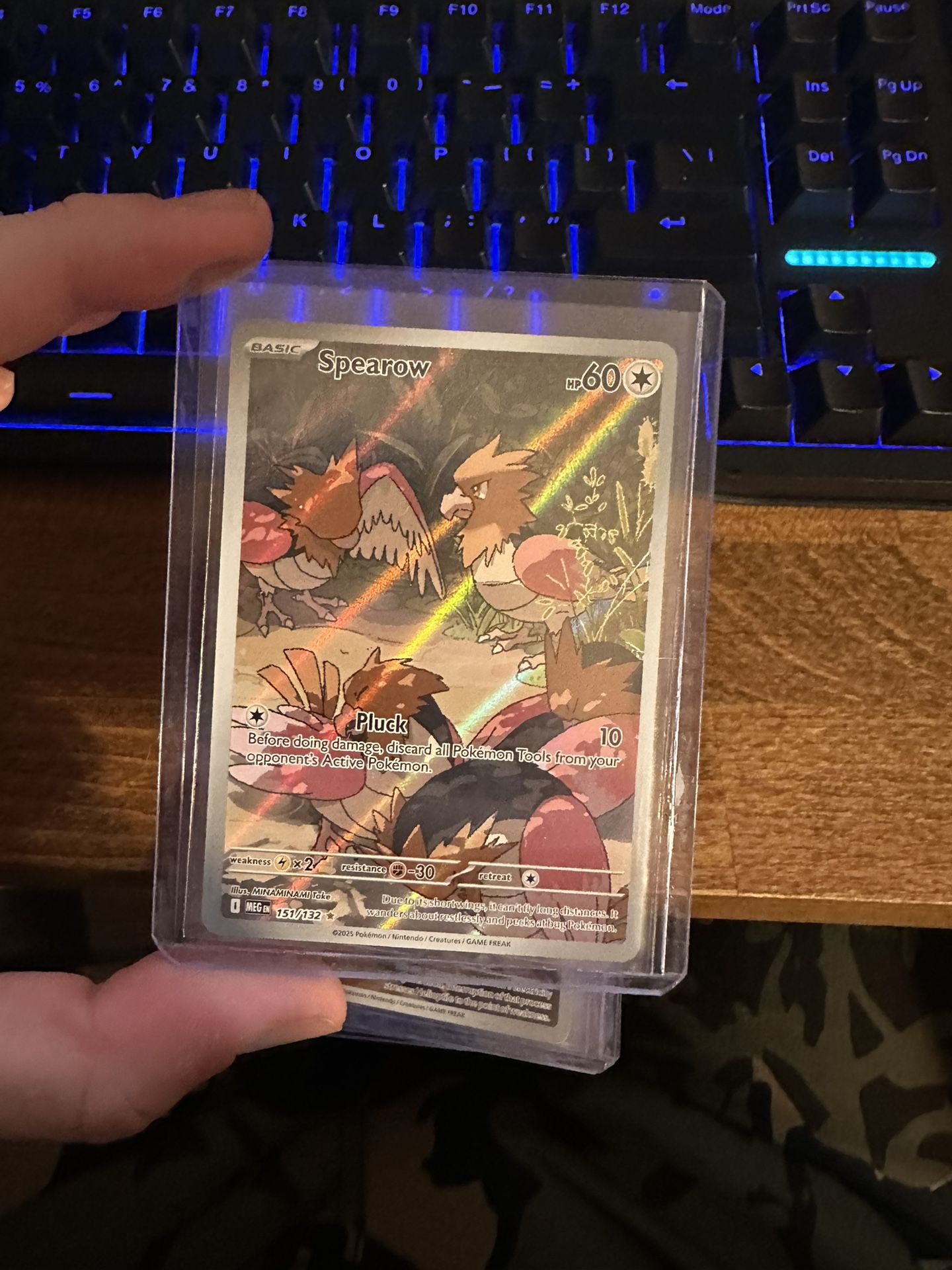 Mega Evolutions  Spearow #151