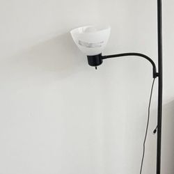 Floor Lamp Like New 