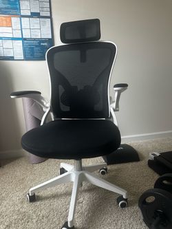 Ergonomic Computer chair