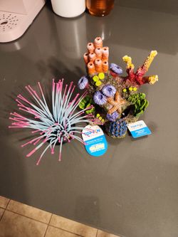 Aquarium Props