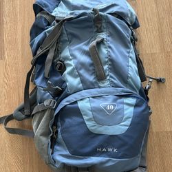 High Sierra Hawk 40l Back pack