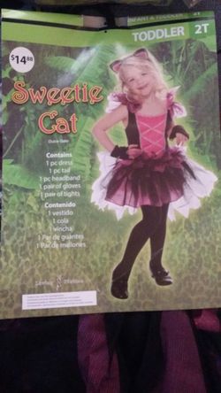Sweetie cat
