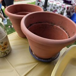 Flowers pot 2