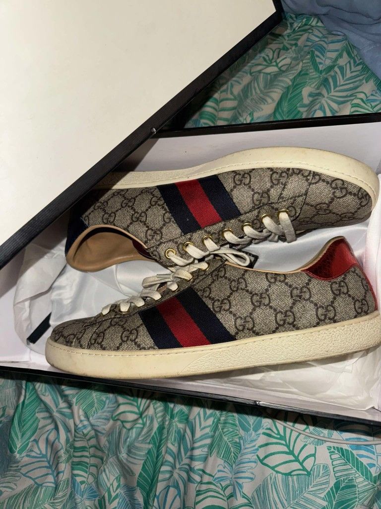 Gucci Lows Size 9.5