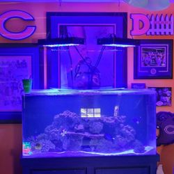 90 Gallon Acrylic Fish Tank 